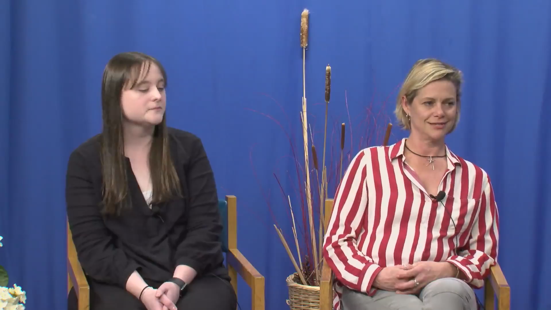Solutions Rising  Topic: Historic Pillar Art with Christina King and Stephanie Van Bramer