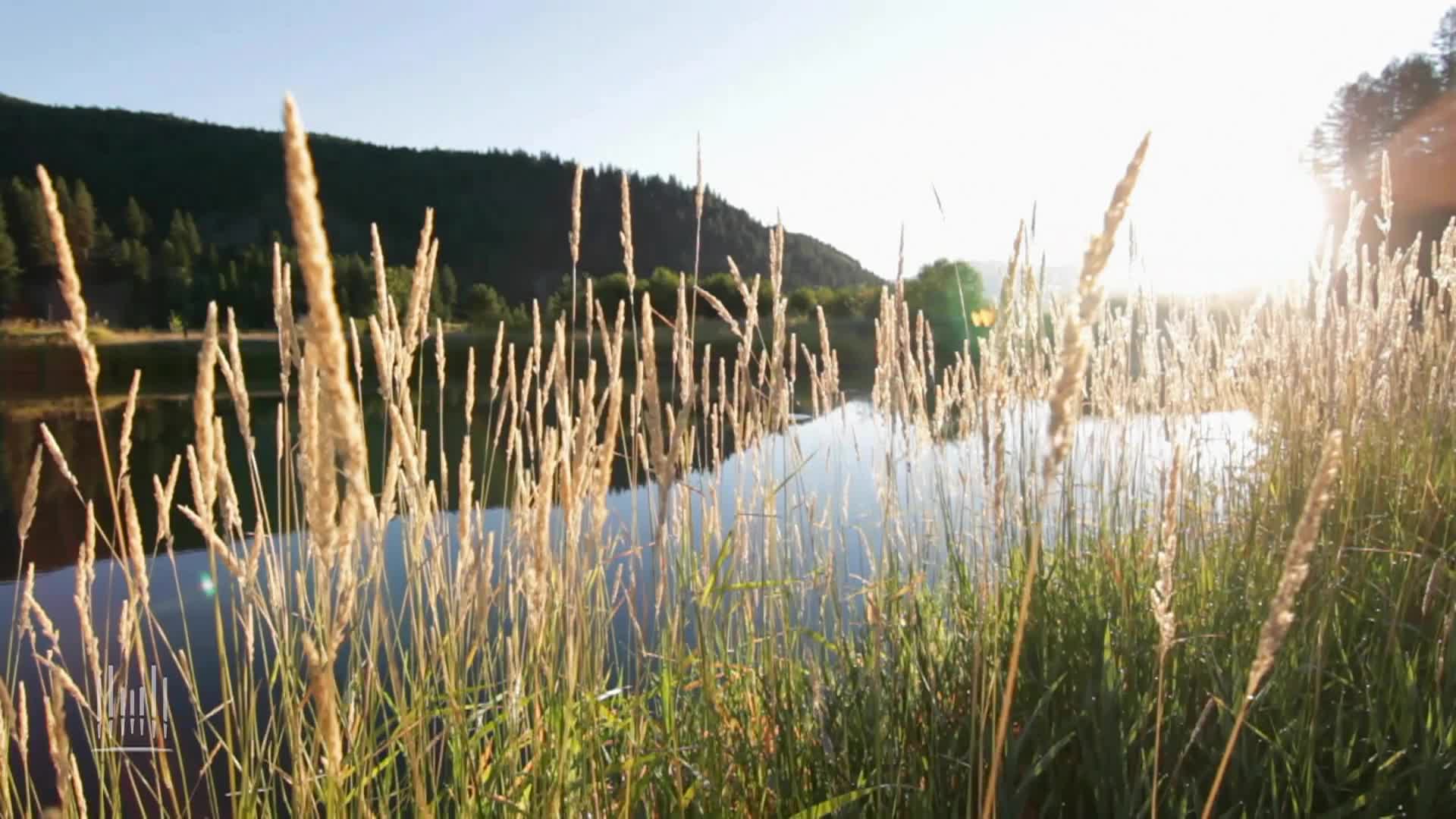 Thumbnail image for Music and the Spoken Word